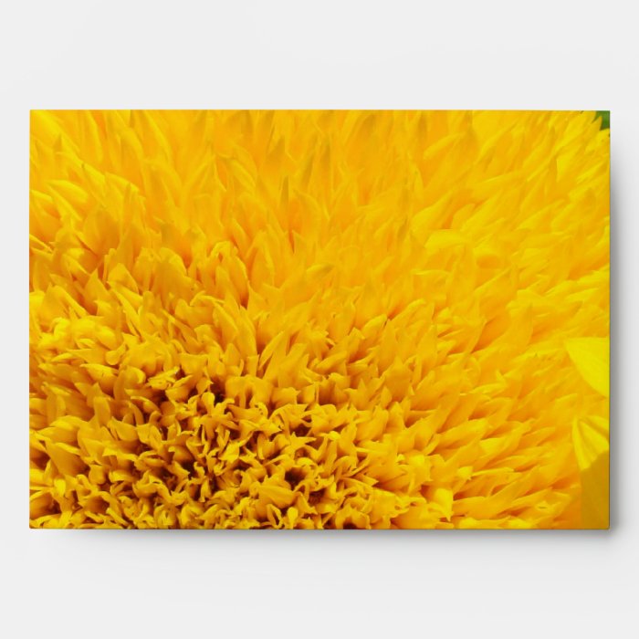 Yellow Sunflower Greeting Card Envelopes Flowers