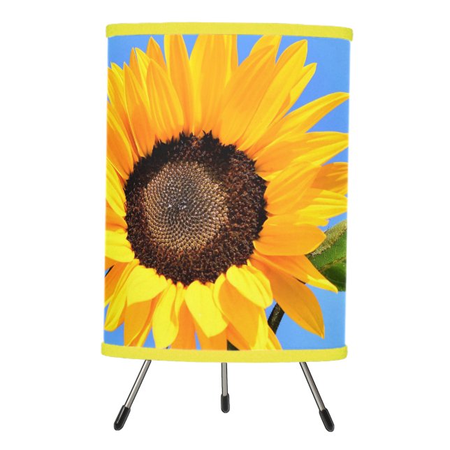 Yellow Sunflower Lamp Against Sun on Blue Sky (Front)