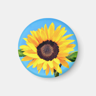 Yellow Sunflower Magnet
