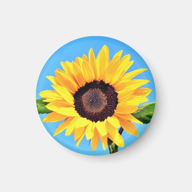 Yellow Sunflower Magnet (Front)