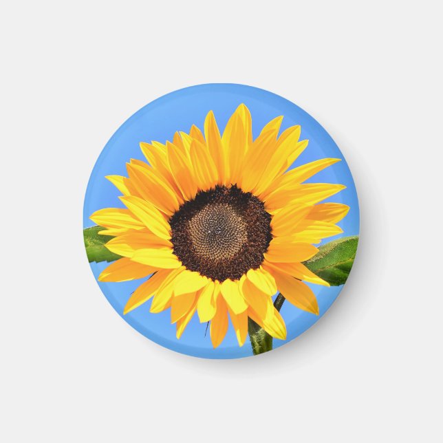 Yellow Sunflower Magnet Blue Sky (Front)