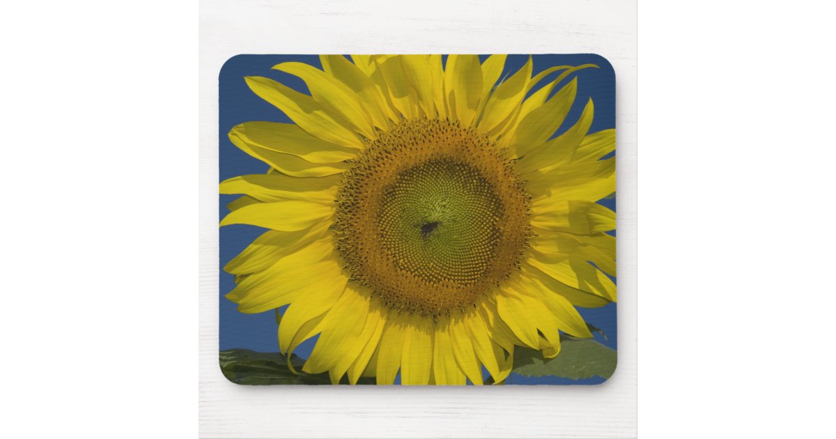 Yellow Sunflower Mouse Pad | Zazzle