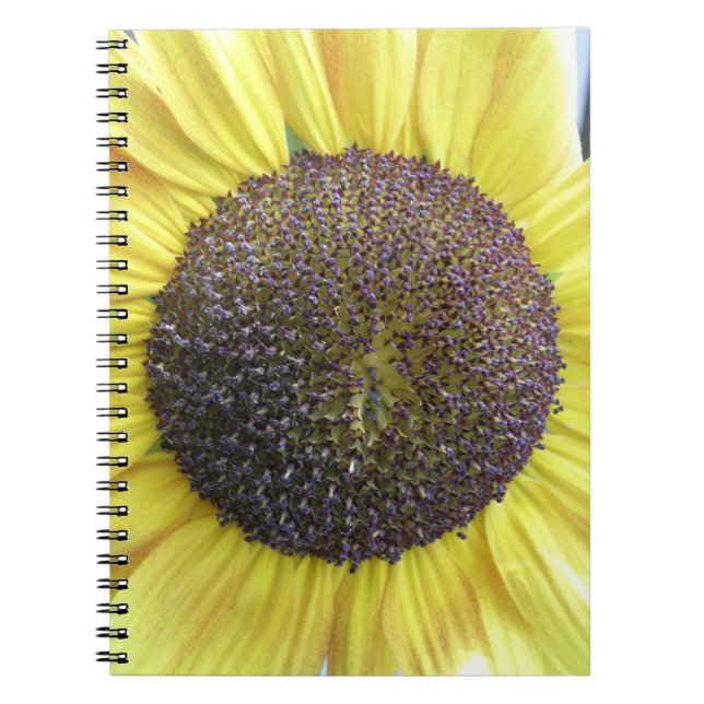 Yellow Sunflower Notebook (Front)
