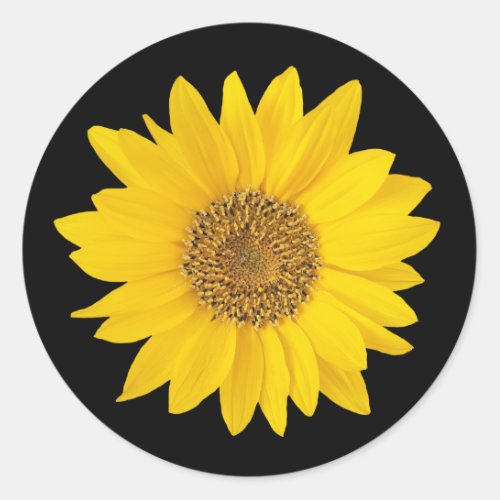 Yellow Sunflower on Black Classic Round Sticker