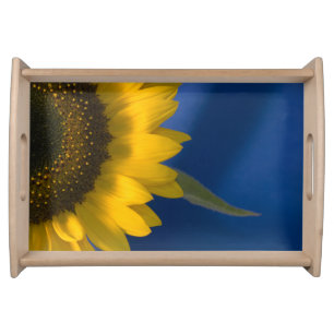 Yellow Sunflower on Blue Serving Tray