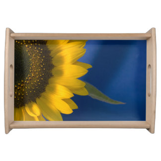 Yellow Sunflower on Blue Serving Tray