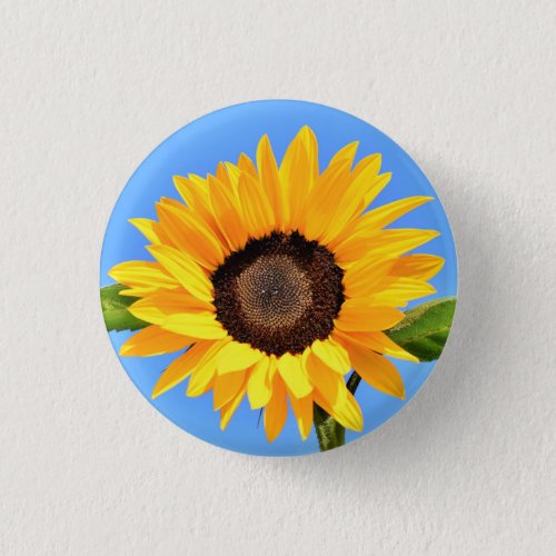 Yellow Sunflower on Blue Sky Button