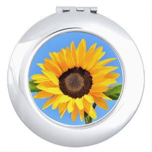 Yellow Sunflower on Blue Sky Compact Mirror