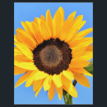 Yellow Sunflower on Blue Sky Letterhead Summer<br><div class="desc">Letterhead with Yellow Sunflower Against Sun on Blue Sky - Summer Day - Photo Flower Nature - You can also personalize - Choose / Add Your Unique Photo - Image / Text - Name / Color / Font / Size / more - Make Your Special Gift - Resize and move...</div>