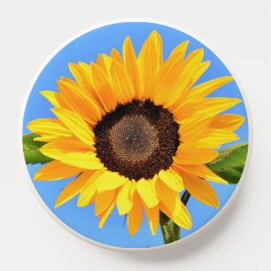 Yellow Sunflower on Blue Sky PopSocket
