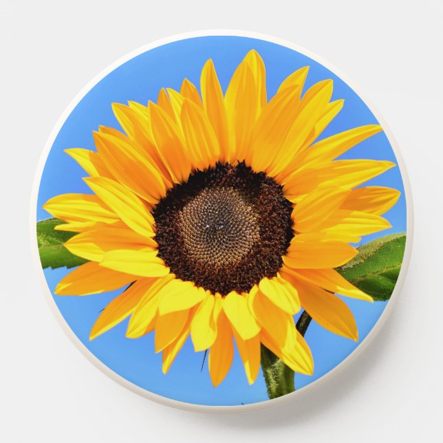 Yellow Sunflower on Blue Sky PopSocket (Popsocket)
