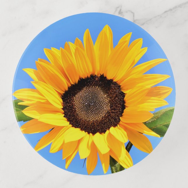Yellow Sunflower on Blue Sky Trinket Tray (Front)
