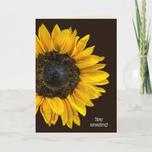 yellow sunflower on dark brown birthday card