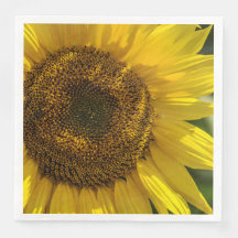Yellow Sunflower