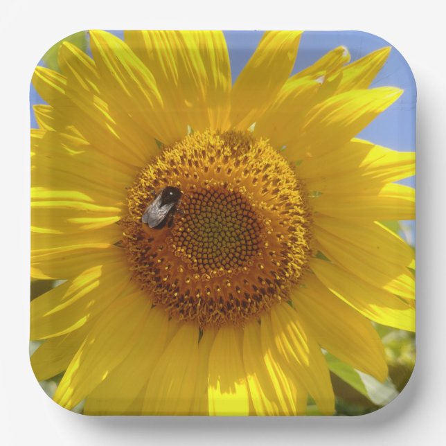 Yellow Sunflower Paper Plates (Front)