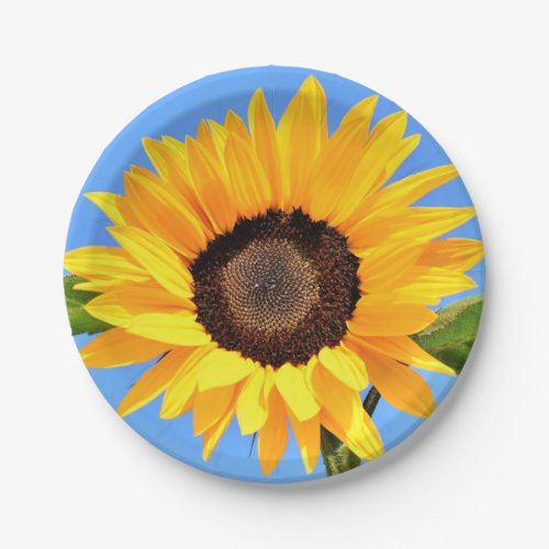 Yellow Sunflower Paper Plates Blue Sky