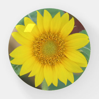 Yellow Sunflower Paperweight