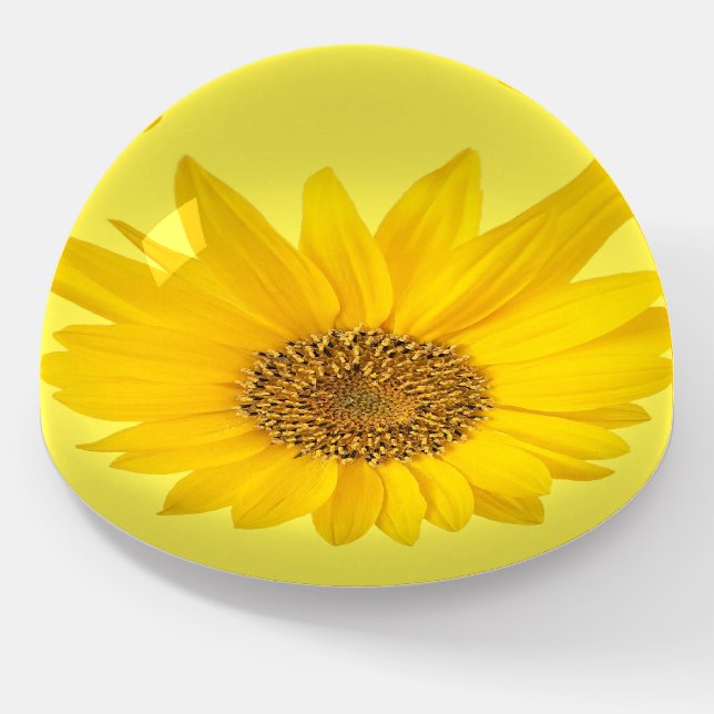 Yellow Sunflower Paperweight (Angled)