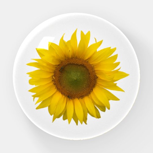 Yellow Sunflower  Paperweight