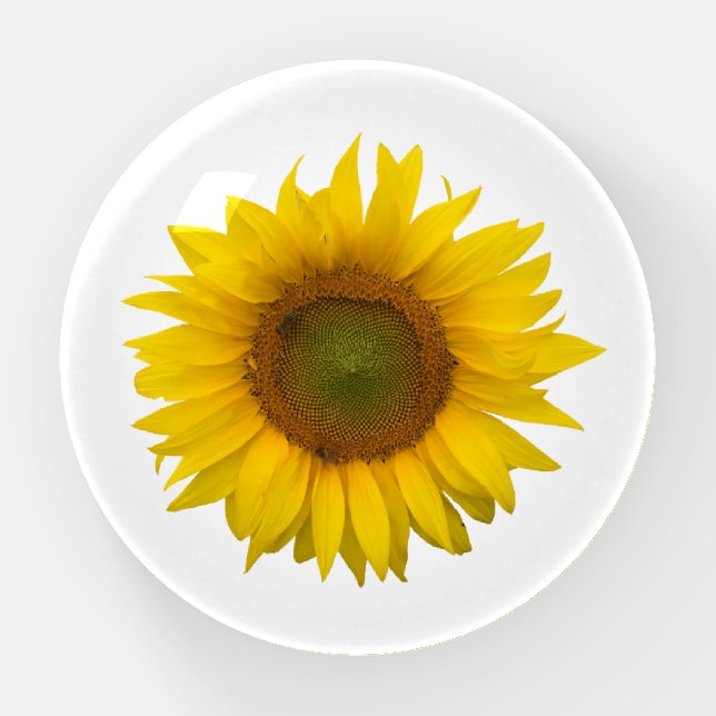 Yellow Sunflower  Paperweight (Front)