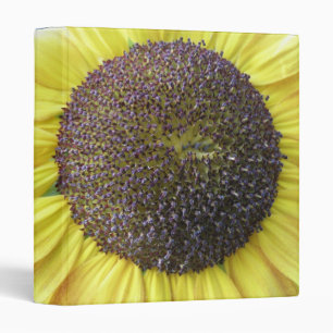 Yellow Sunflower Photograph Album 3 Ring Binder