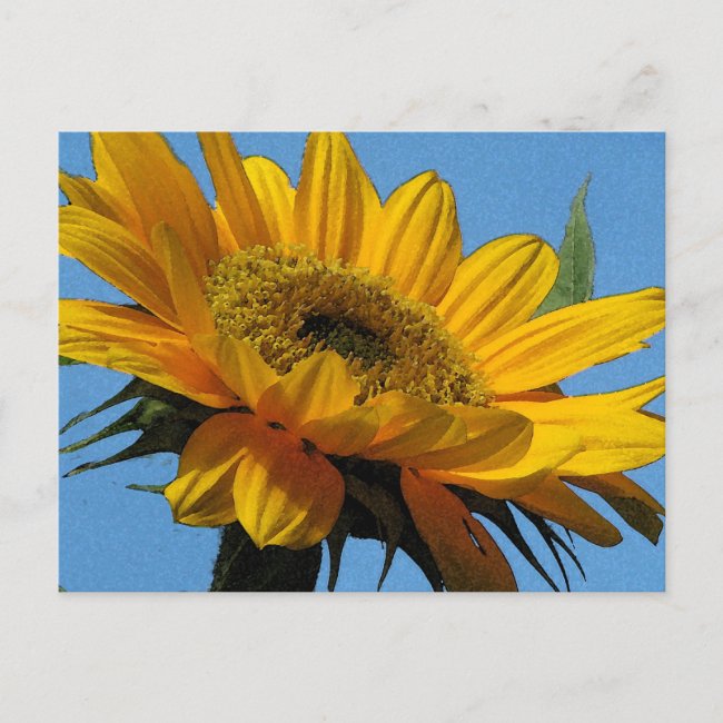 Yellow Sunflower Postcard