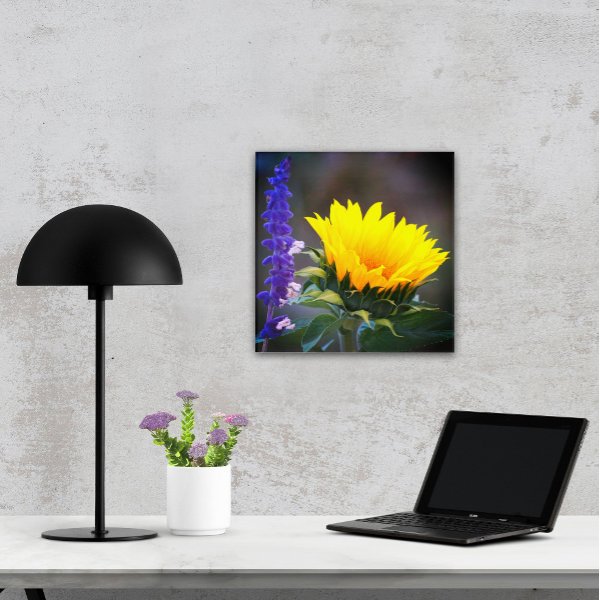 Yellow Sunflower Purple Russian Sage Flower Photo