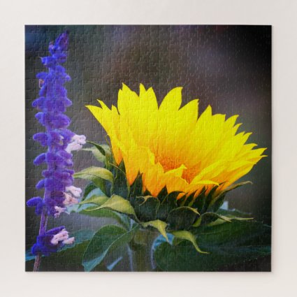 Yellow Sunflower Purple Russian Sage Flower Photo 