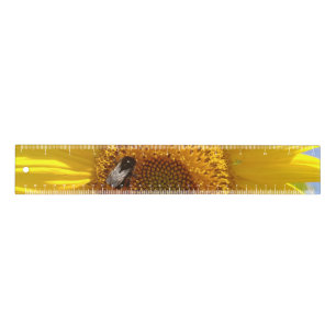 Yellow Sunflower Ruler