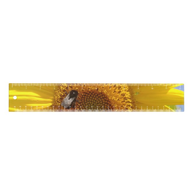 Yellow Sunflower Ruler (Front)