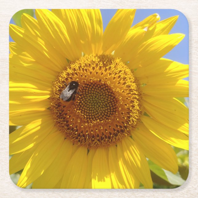 Yellow Sunflower Square Paper Coaster (Front)