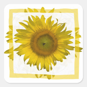 Yellow Sunflower Square Sticker
