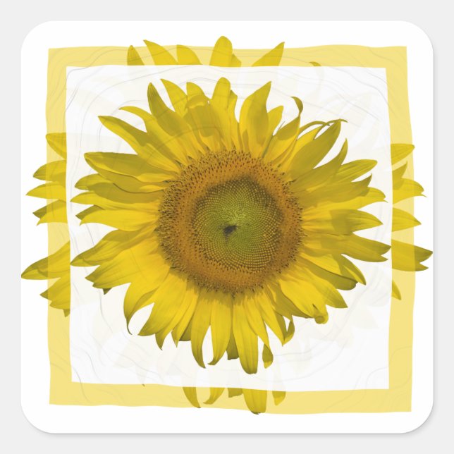 Yellow Sunflower  Square Sticker (Front)
