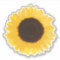 Yellow Sunflower