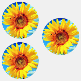 Yellow Sunflower Stickers