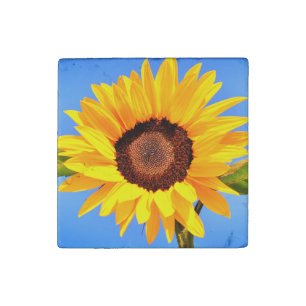 Yellow Sunflower Stone Magnet