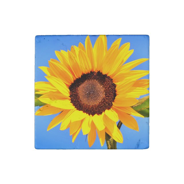 Yellow Sunflower Stone Magnet (Front)