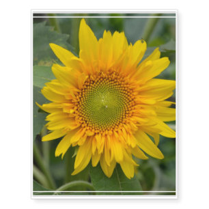 Yellow Sunflower Temporary Tattoos