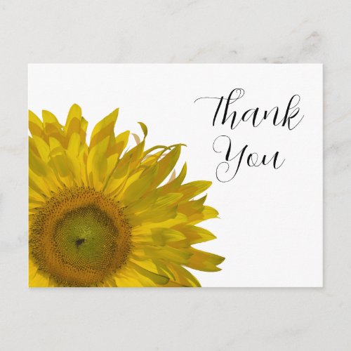 Yellow Sunflower Thank You Postcard