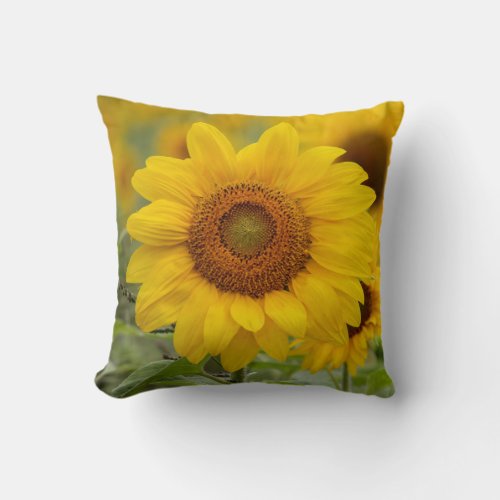 Yellow Sunflower Toss Throw Pillow Home Decor