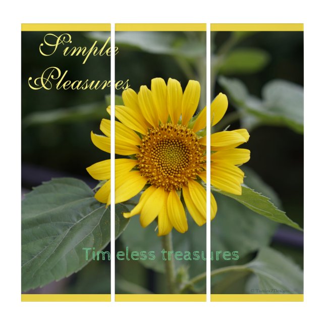 Yellow Sunflower Triptych Wall Art (Front)
