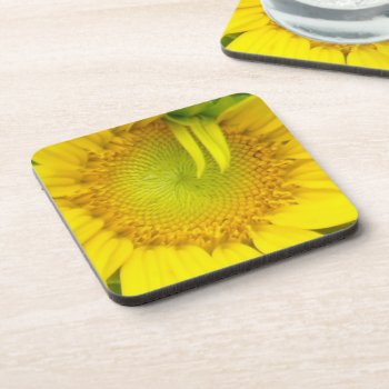 Yellow Sunflower Upclose Drink Coaster by capturedbyKC at Zazzle