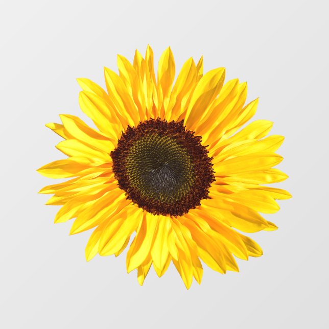 Yellow Sunflower Window Cling (Sheet)