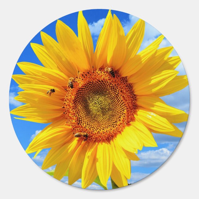 Yellow Sunflower with Bees Outdoor Sign (Front)