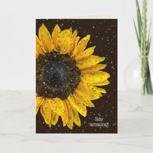 yellow sunflower with water droplets on glass card