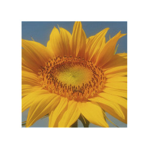 Yellow Sunflower Wood Wall Art