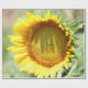 Yellow Sumer Paper Yellow sunflower wrapping paper | Zazzle
