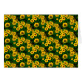 yellow sunflowers (Front Horizontal)