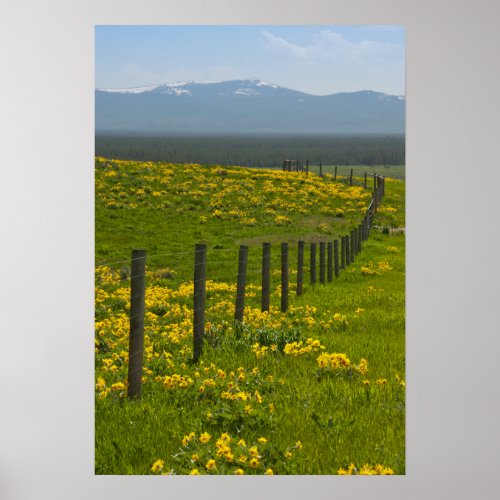 Yellow Sunflowers and Mountains Poster