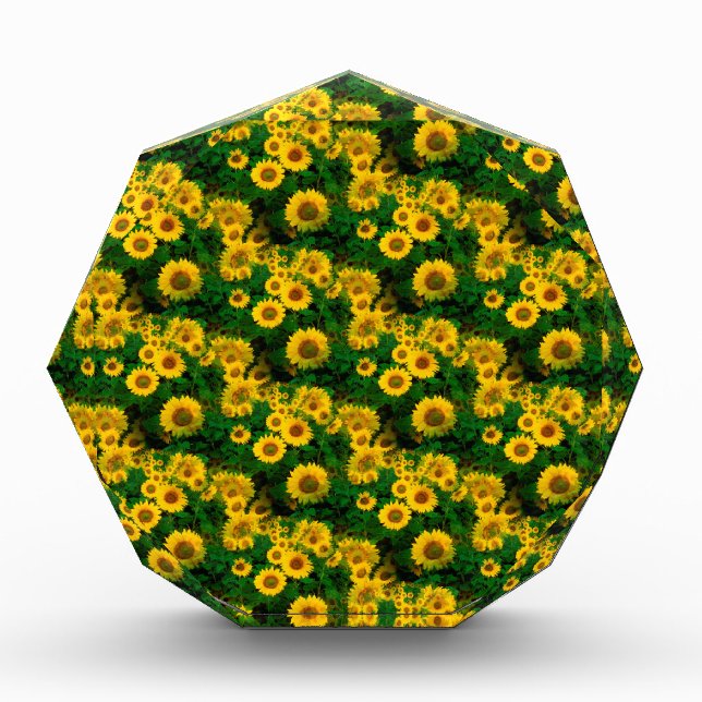 yellow sunflowers award (Front)